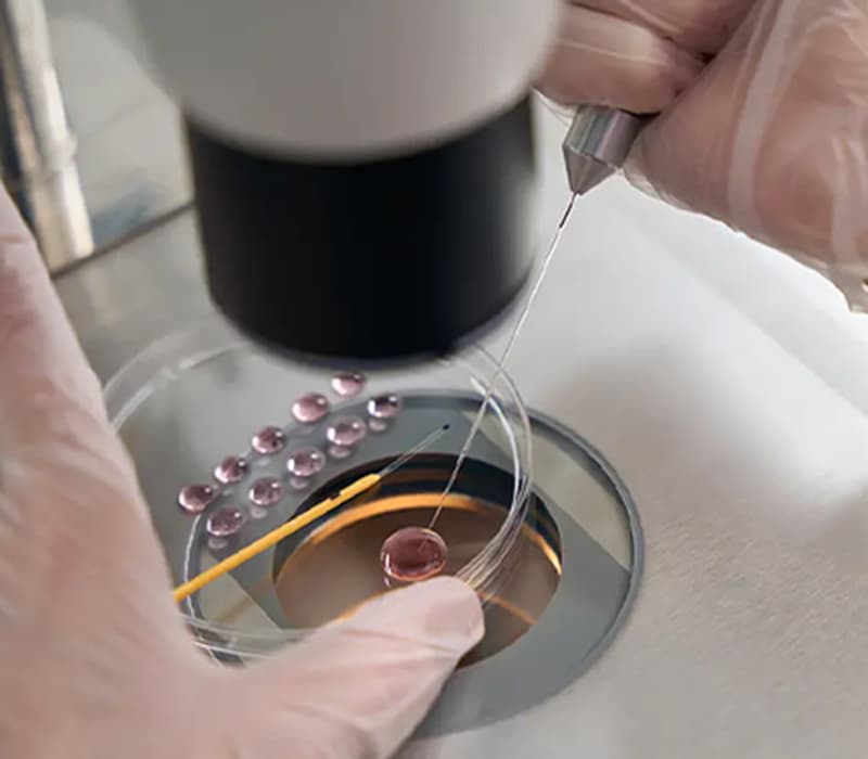 Scientific innovation in the London Dermatology Centre laboratory