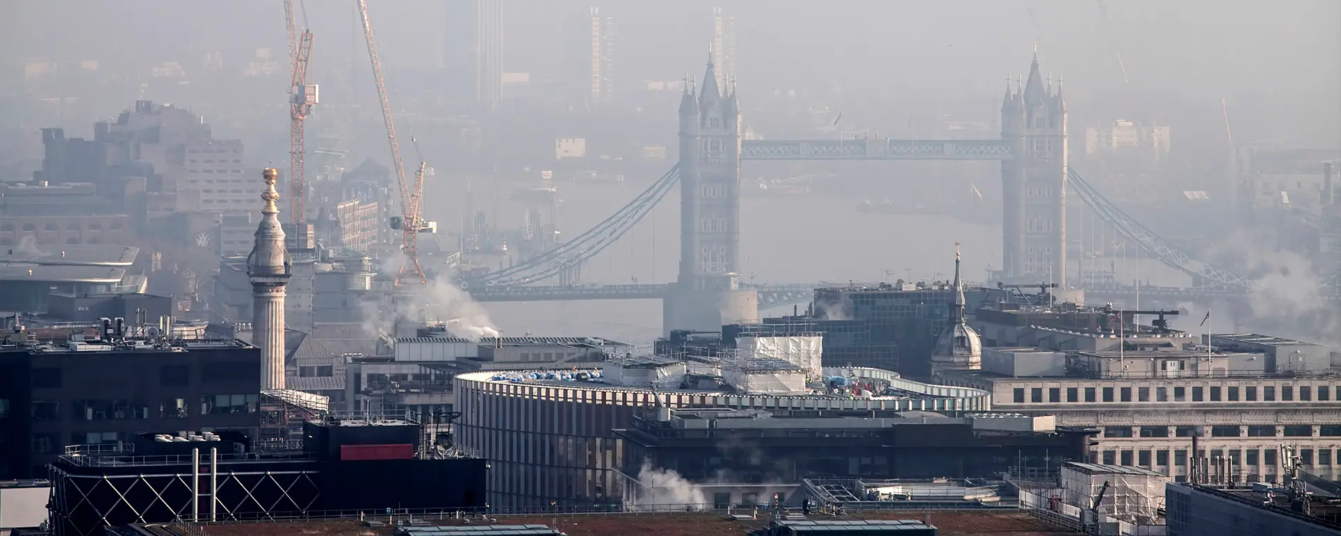 Cover London Pollution 1