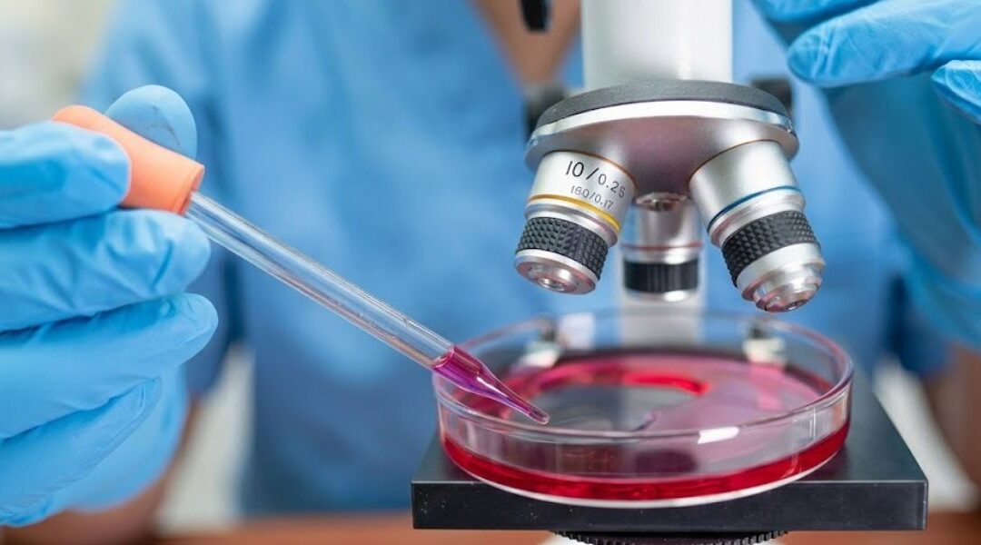 Bioprinting Human Skin: Could Lab-Grown Tissue Transform Wound Care?