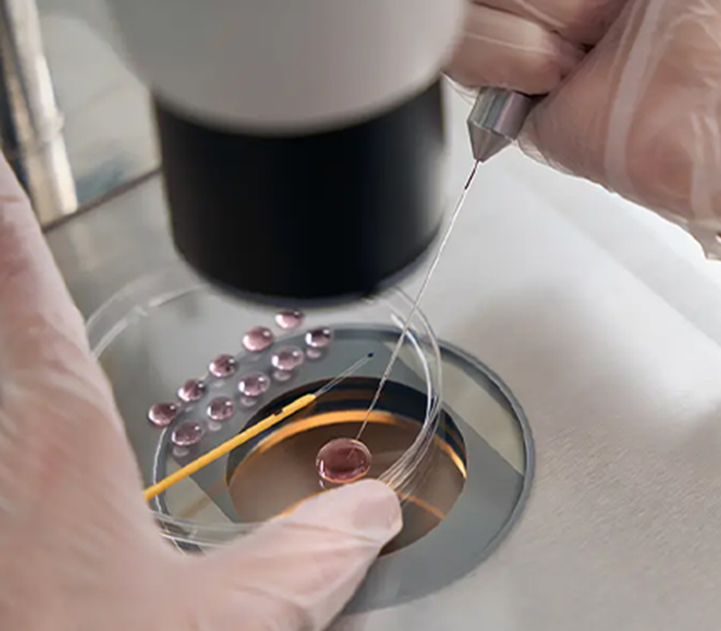 Scientific Innovation